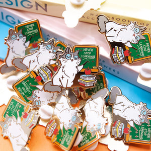 Never Stop Learning (Ragamuffin Cat) Enamel Pin Brooches & Lapel Pins Flair Fighter   