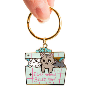 I Was Normal 3 Cats Ago (Domestic Shorthair Cat) Keychain  Flair Fighter