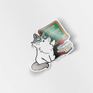 Never Stop Learning (Ragamuffin Cat) Vinyl Sticker Decorative Stickers Flair Fighter