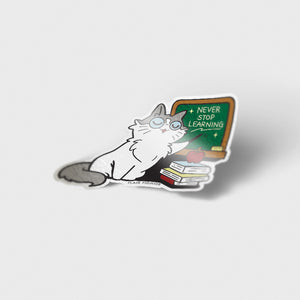 Never Stop Learning (Ragamuffin Cat) Vinyl Sticker Decorative Stickers Flair Fighter