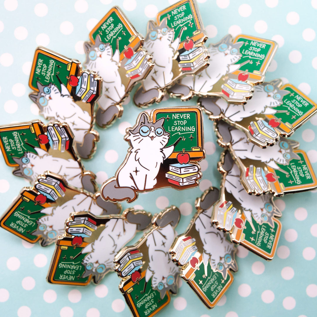 Never Stop Learning (Ragamuffin Cat) Enamel Pin Brooches & Lapel Pins Flair Fighter   
