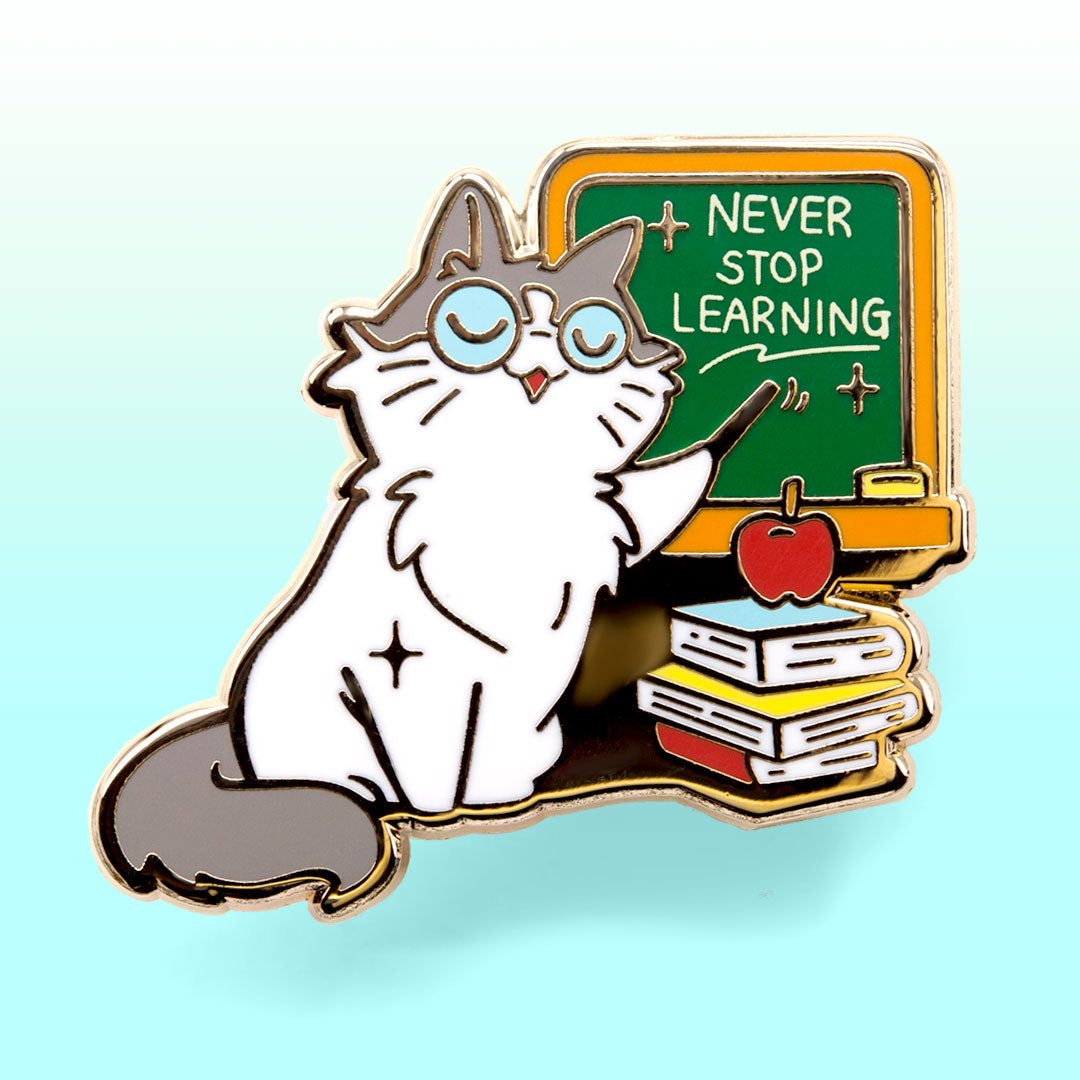 Never Stop Learning (Ragamuffin Cat) Enamel Pin Brooches & Lapel Pins Flair Fighter   