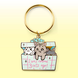 I Was Normal 3 Cats Ago (Domestic Shorthair Cat) Keychain  Flair Fighter   